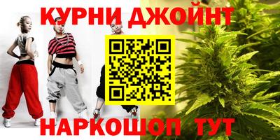 mdpv Гатчина