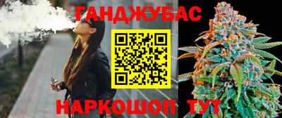 mdpv Гатчина