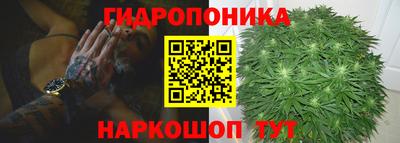 mdpv Гатчина